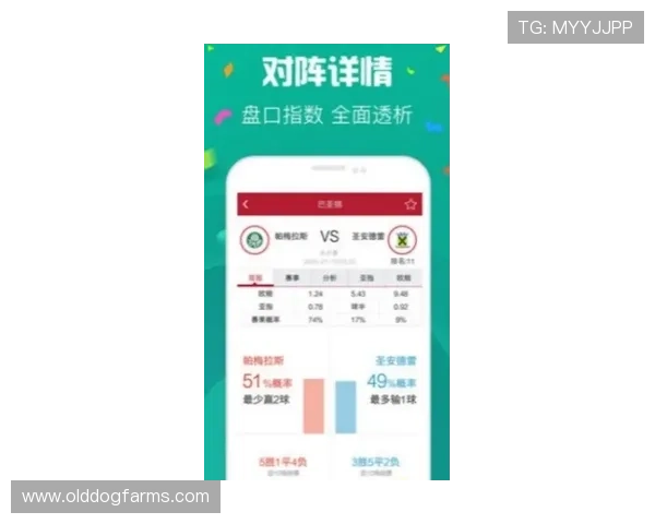 澳门彩娱乐主管地址完整信息，保障玩家权益的官方入口官方最新公布
